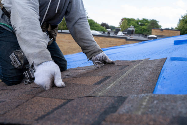 Best Roof Gutter Cleaning  in Mapleton, MN