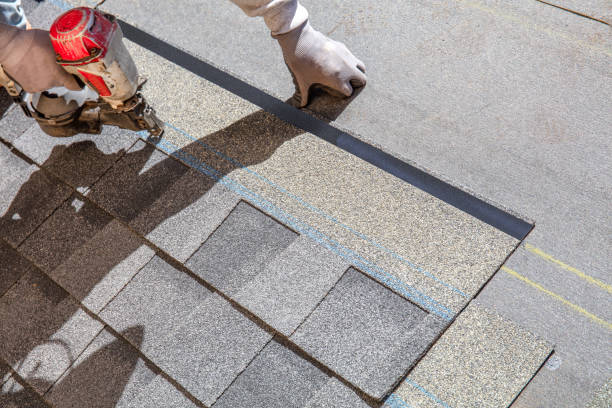 Best Shingle Roofing Installation  in Mapleton, MN